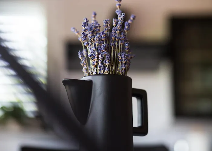 Prázdninový dům Officinalis - Family