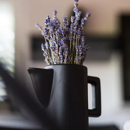 Semesterbostad Officinalis - Family