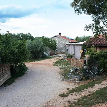 Officinalis - Family * Brzac
