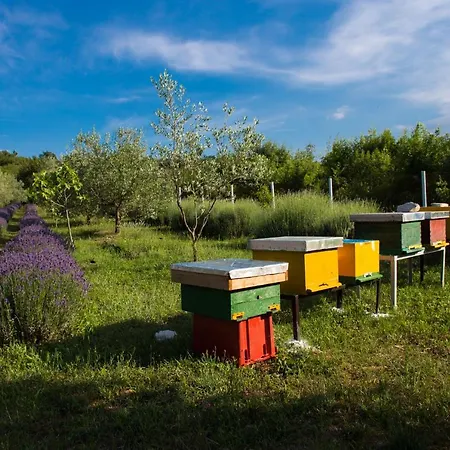 Officinalis - Family Semesterbostad Brzac