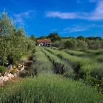 Officinalis - Family Hébergement de vacances