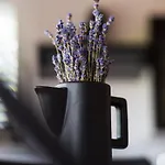 Hébergement de vacances Officinalis - Family