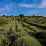 Officinalis - Family Hébergement de vacances *