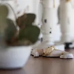 Officinalis - Family *